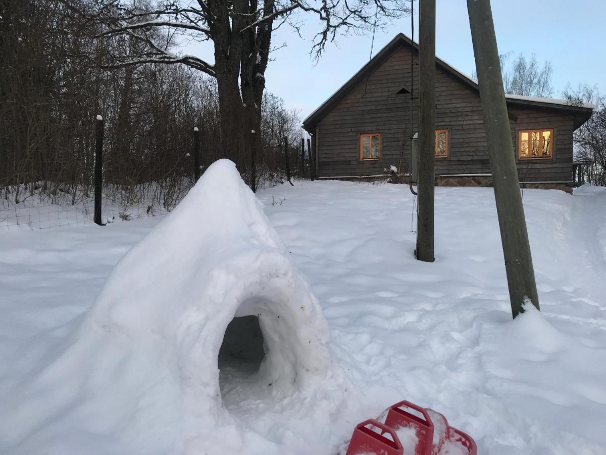 Dzirnavkalns Cesvaine