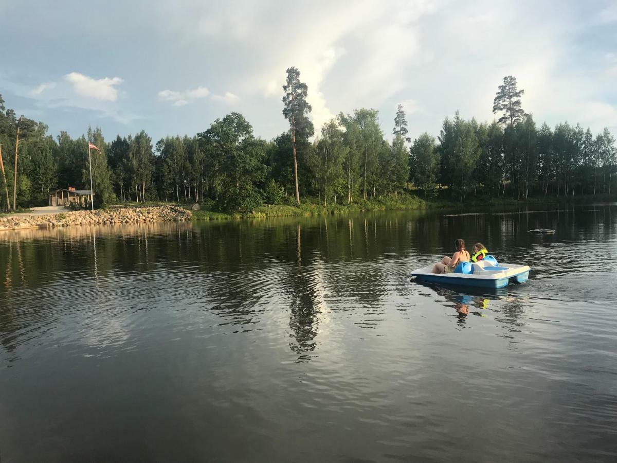 Dzirnavkalns Holiday home *
